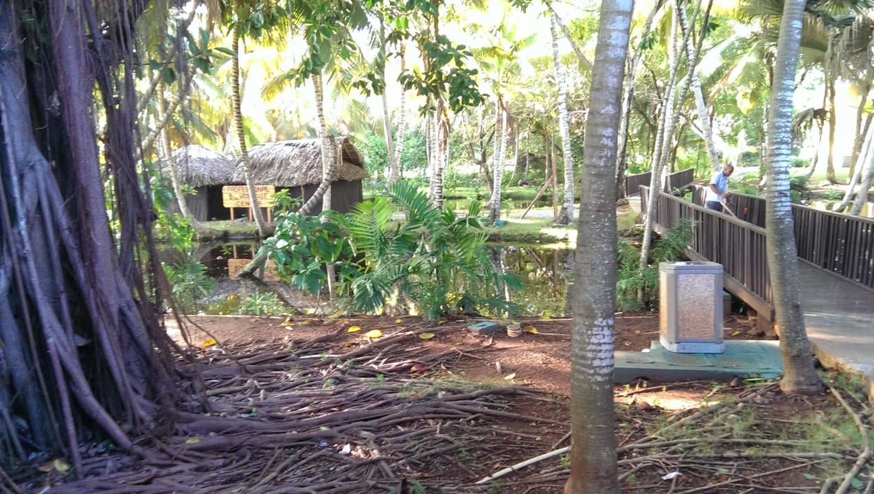 Kleiner Teich Wyndham Alltra Samana