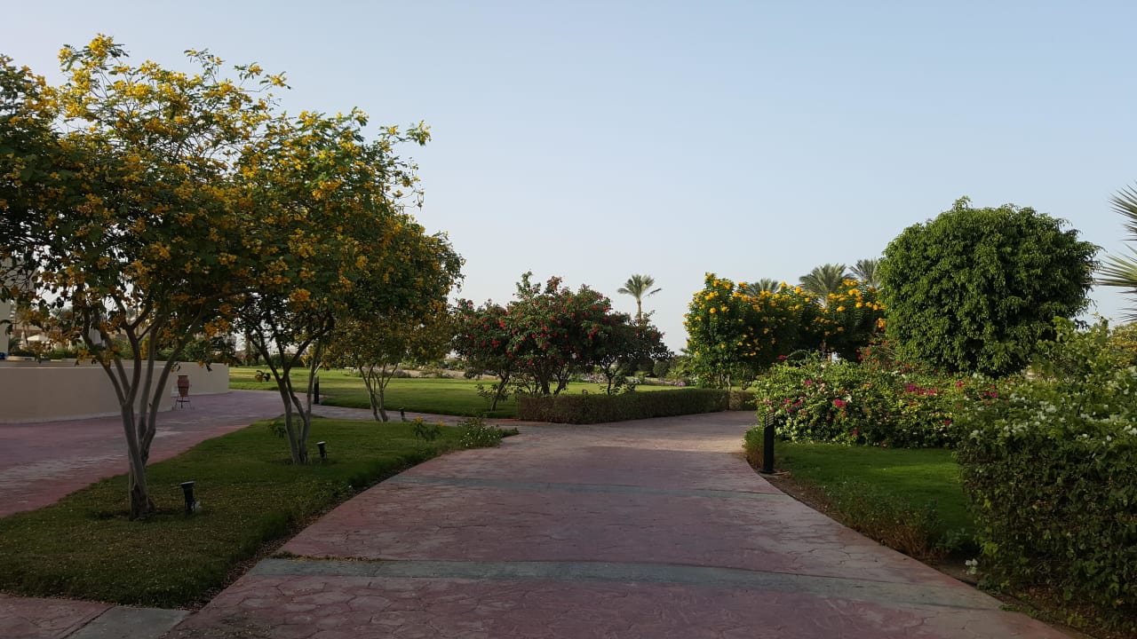 Garten Cleopatra Luxury Resort Makadi Bay
