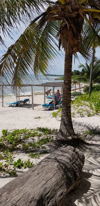 Strand Akumal Bay Beach & Wellness Resort