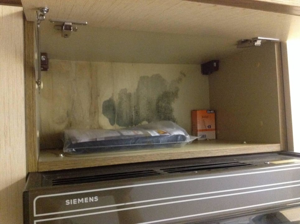 Schimmel im Küchenschrank Hotel Rüstersieler Hof