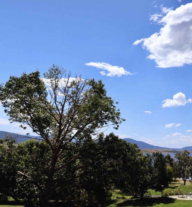 Ausblick Motel Jindy Inn