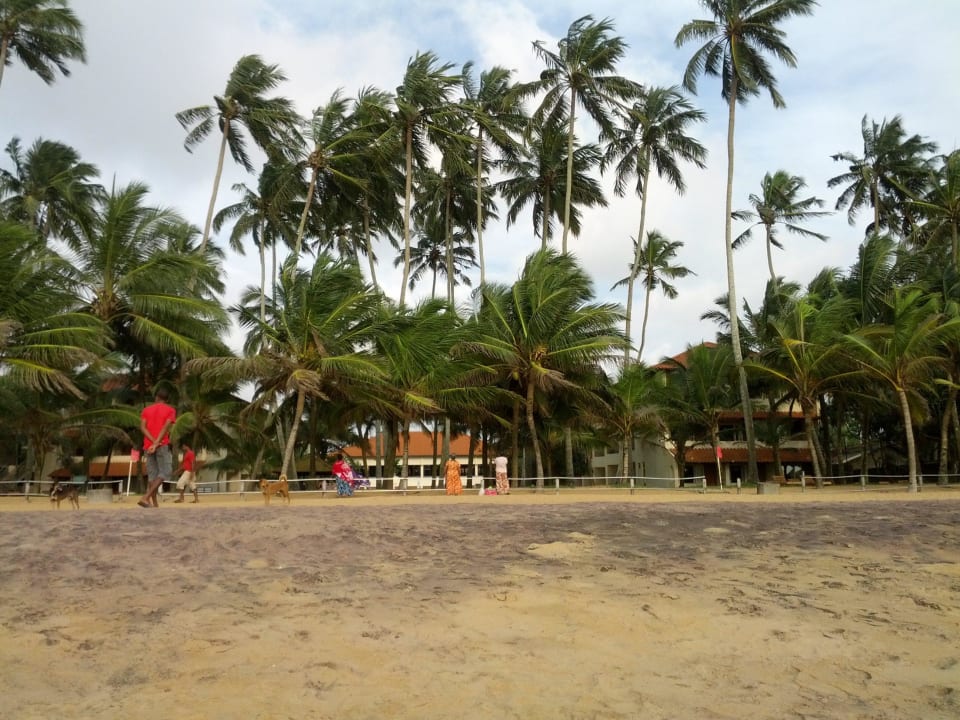 Blick Richtung Hotelanlage Mermaid Hotel & Club