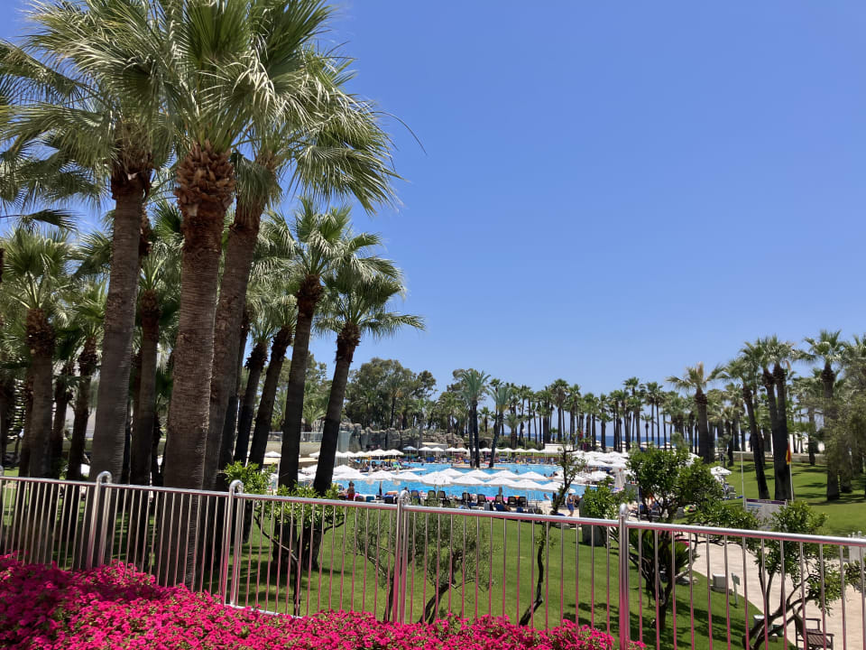 Ausblick Monachus Family Resort Sorgun