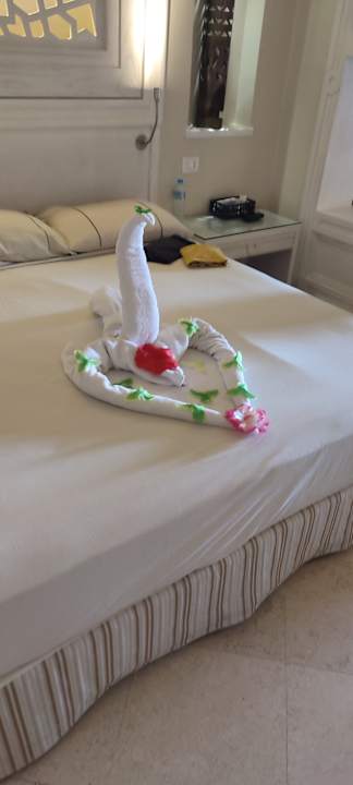 Zimmer Makadi Spa - Adults only