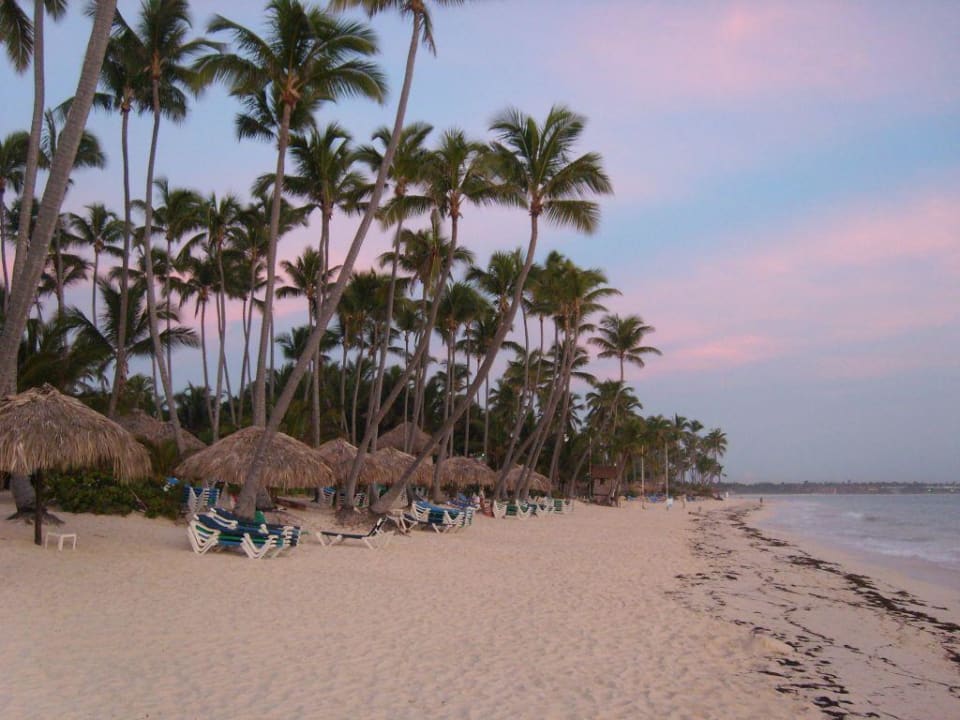 Sonnenaufgang Grand Palladium Select Bávaro Resort & Spa