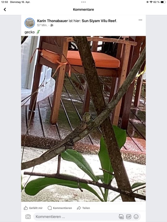 Gartenanlage Sun Siyam Vilu Reef