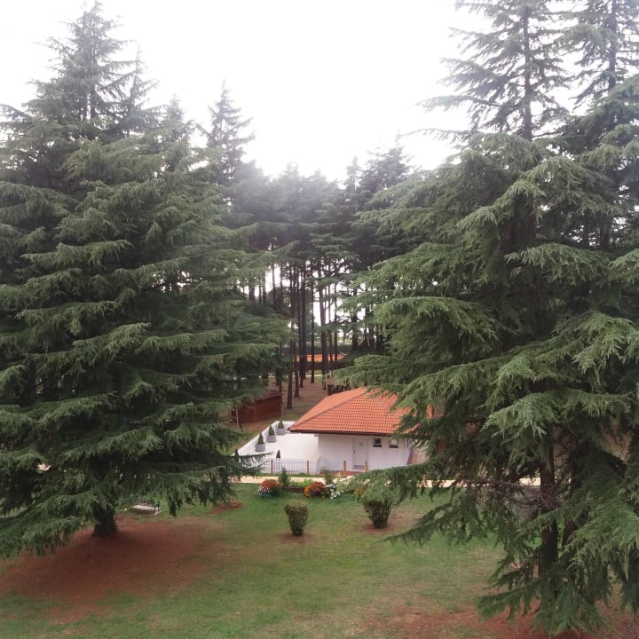 Ausblick  Sunny Poreč by Valamar