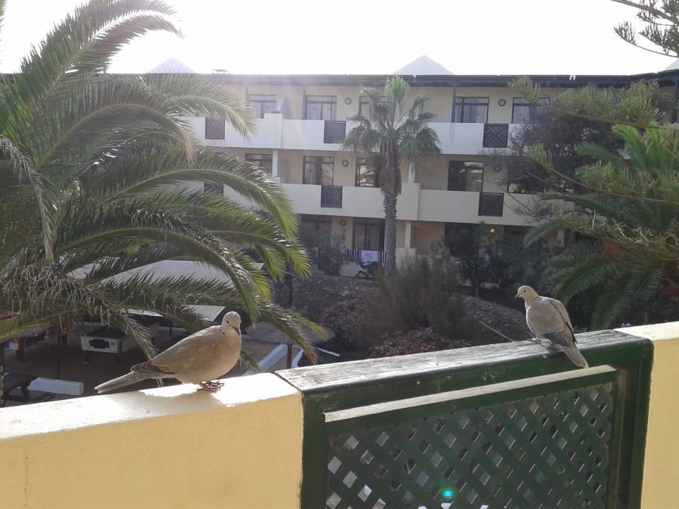 Hotel El Trebol Hotel El Trebol