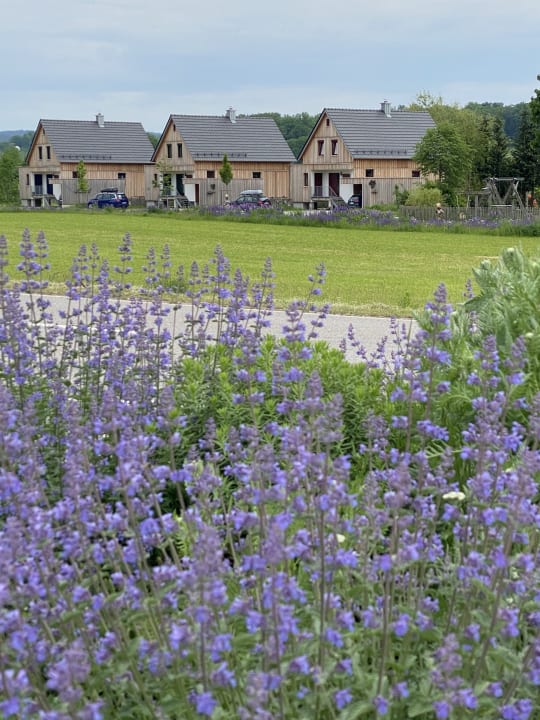 Außenansicht Urlaub am Regen - Ferienhof Dirnberger