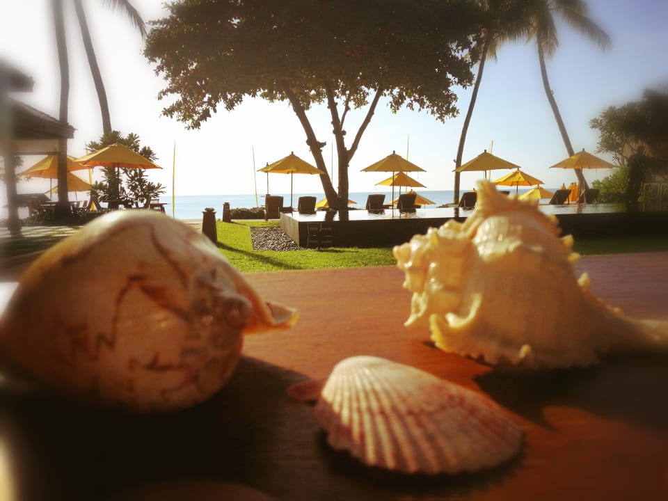 Sonstiges Buri Rasa Village Samui Adults Only Resort