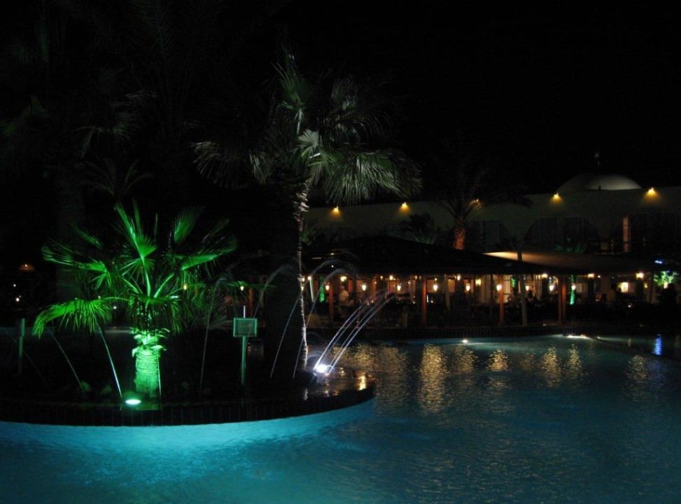 Вечерний моцион Desert Rose