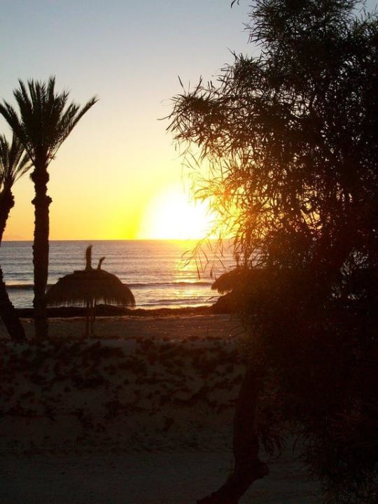 Sonnenaufgang von unserem Bungalow Hotel El Mouradi Djerba Menzel