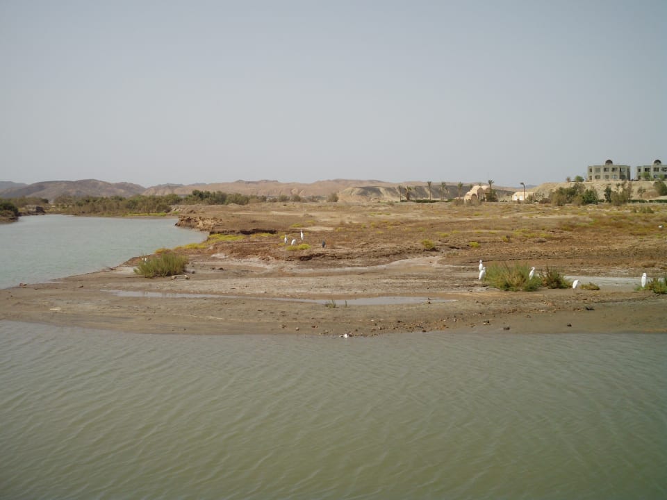 Strand Three Corners Equinox Beach Resort