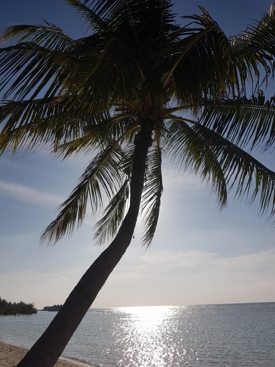Strand Kuredu Island Resort & Spa