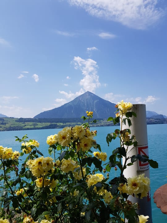 Ausblick Beatus Wellness- & Spa-Hotel