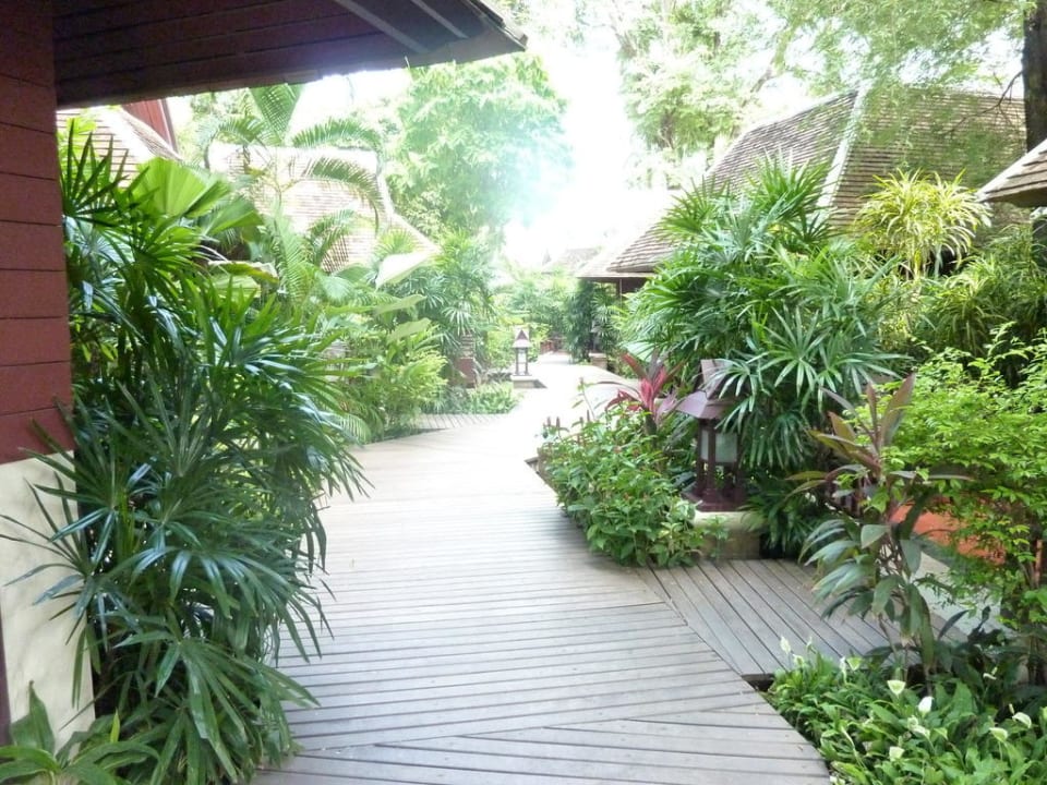 Garten Chaweng Regent Chaweng Regent Beach Resort