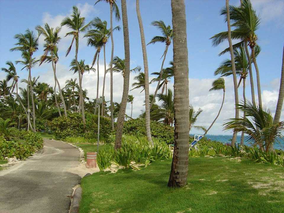 Weg zum Strand Grand Palladium Select Bávaro Resort & Spa