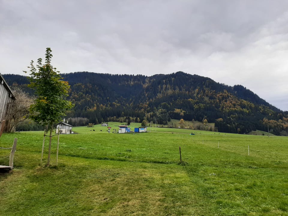 Ausblick Alpen Hotel Post