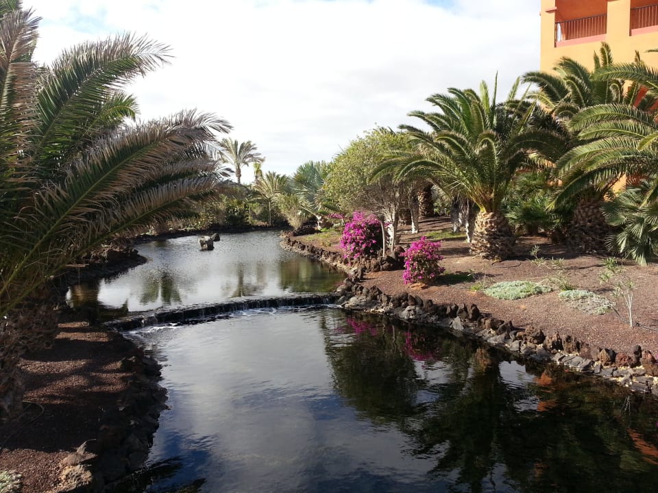 Ogród Sheraton Fuerteventura Golf & Spa Resort
