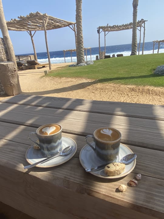 Gastro Steigenberger Resort Alaya Marsa Alam - Red Sea - Adults only