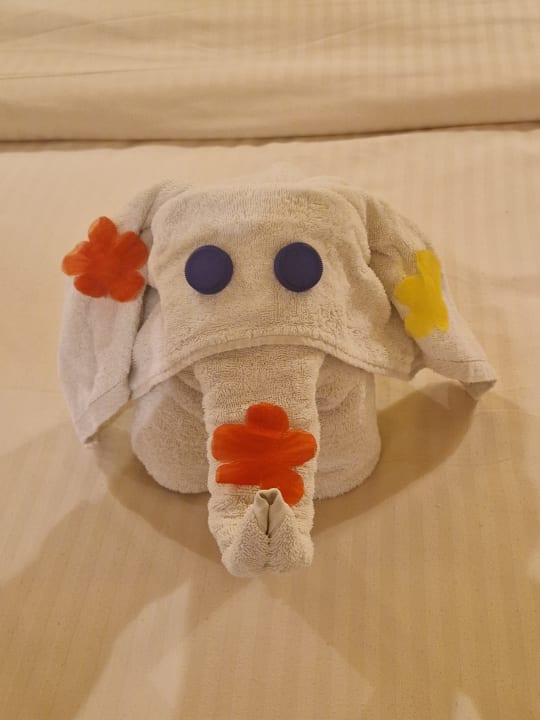 Zimmer Grand Waterworld Makadi & Family Star Makadi