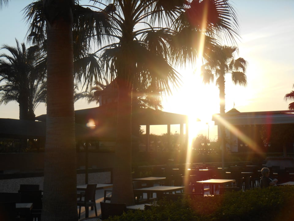 Закат Selectum Family Comfort Side