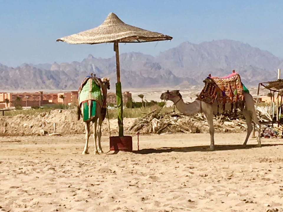 Strand Sentido Caribbean World Soma Bay