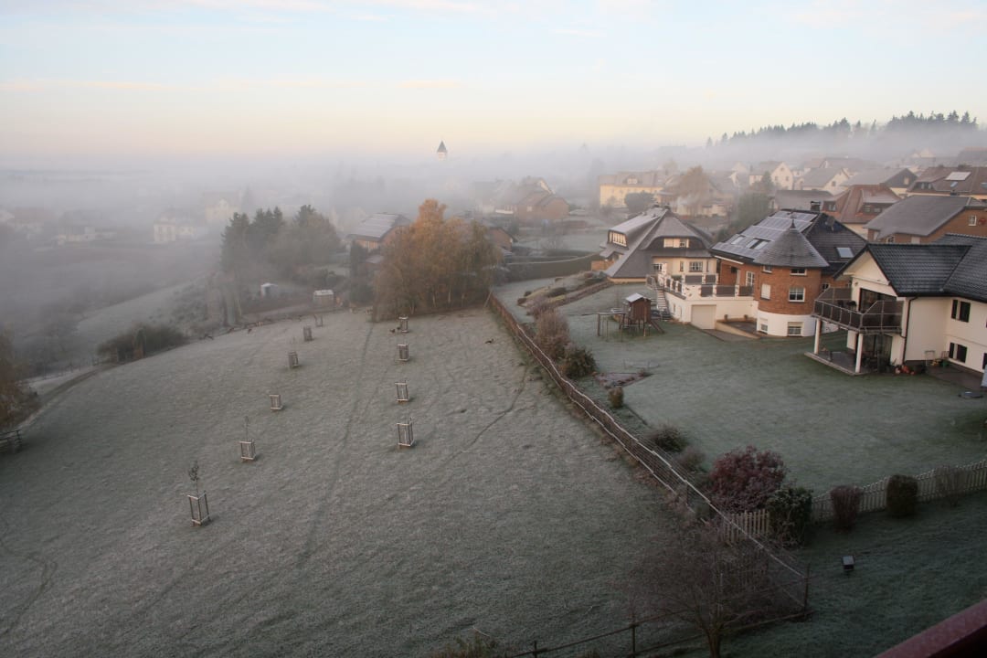 Wildgehege im Morgennebel Hotel Kastenholz
