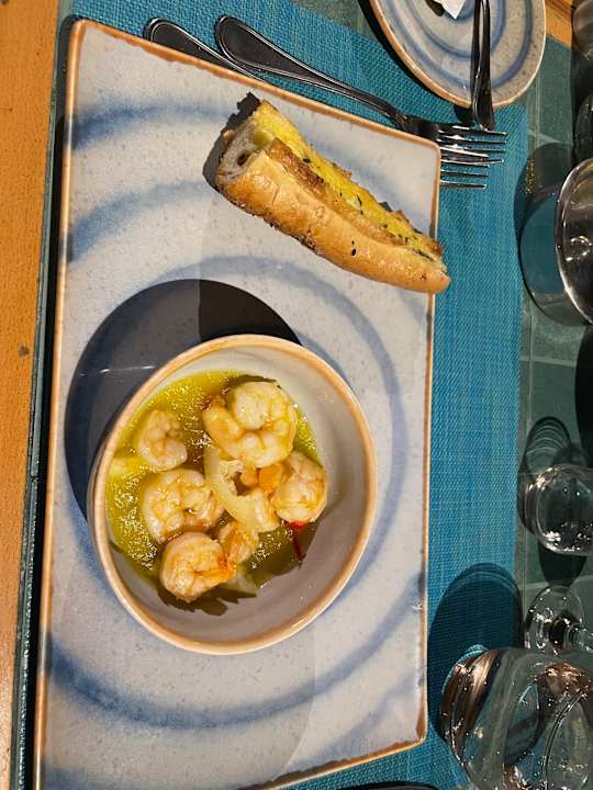 Gastro JAZ Elite Asteria