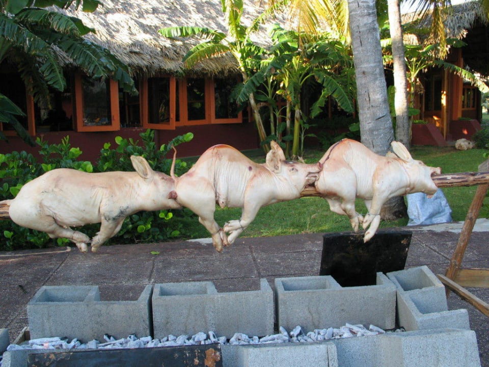 Die 2 kleinen Schweinchen für Weihnachten Hotel Tuxpan Varadero
