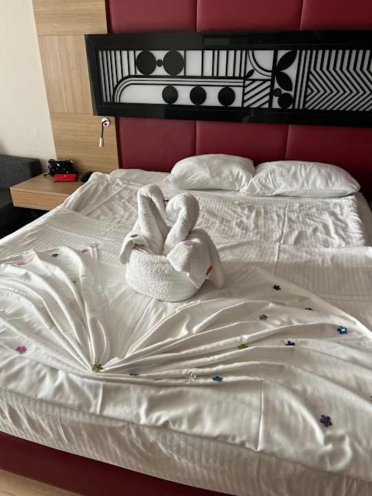 Zimmer Hotel Delphin Imperial