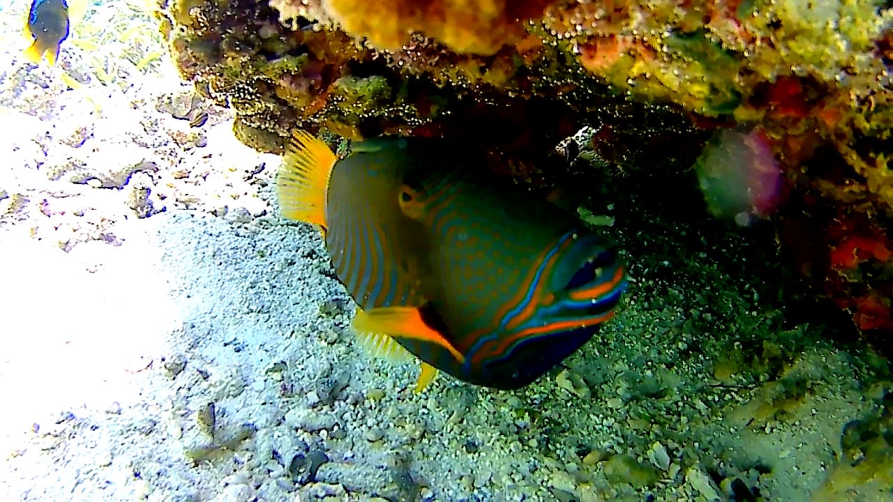 Sport & Freizeit Adaaran Select Hudhuran Fushi - Premium All Inclusive