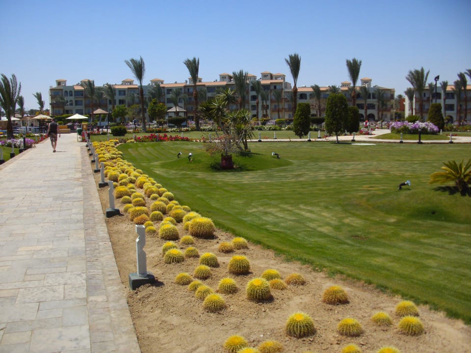 Hotel Dana Beach Resort Pickalbatros Dana Beach Resort - Hurghada