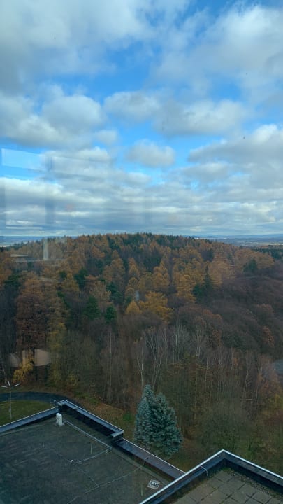Ausblick AHORN Berghotel Friedrichroda