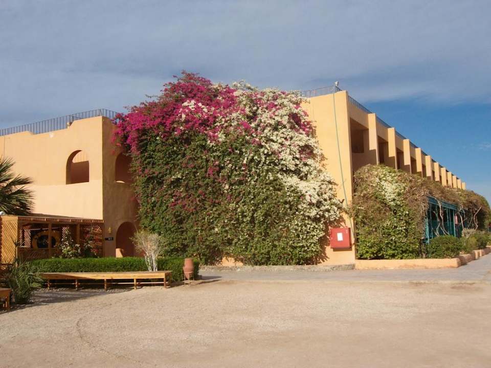 Es blüht überall Giftun Azur Resort