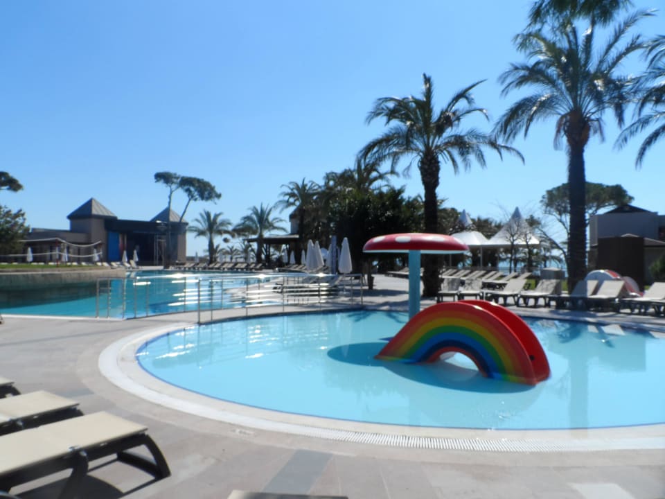 Basen dla maluszków Papillon Ayscha