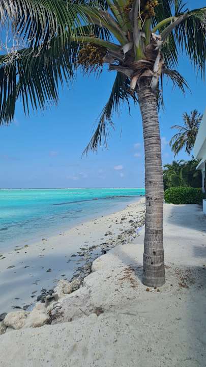 Strand Hotel Riu Atoll