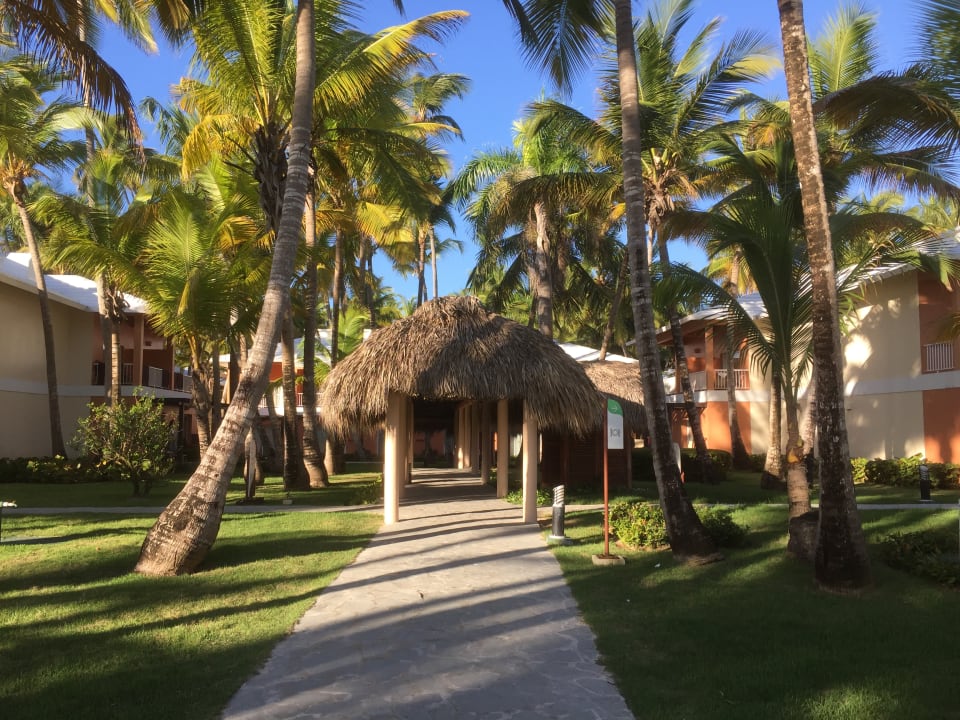 Gartenanlage Hotel Grand Palladium Palace Resort, Spa & Casino