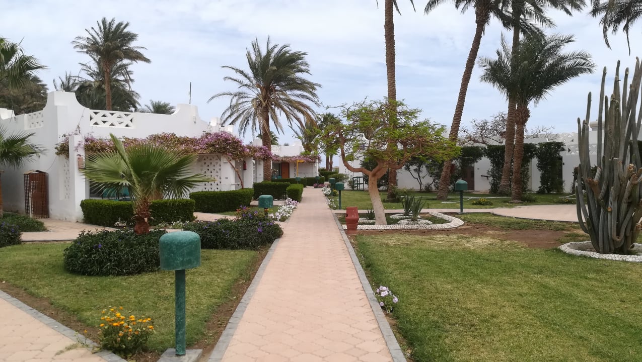 Gartenanlage Shams Safaga Resort