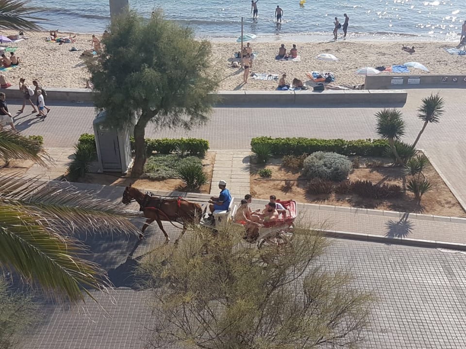 Strand Apartments Mix Bahia Real