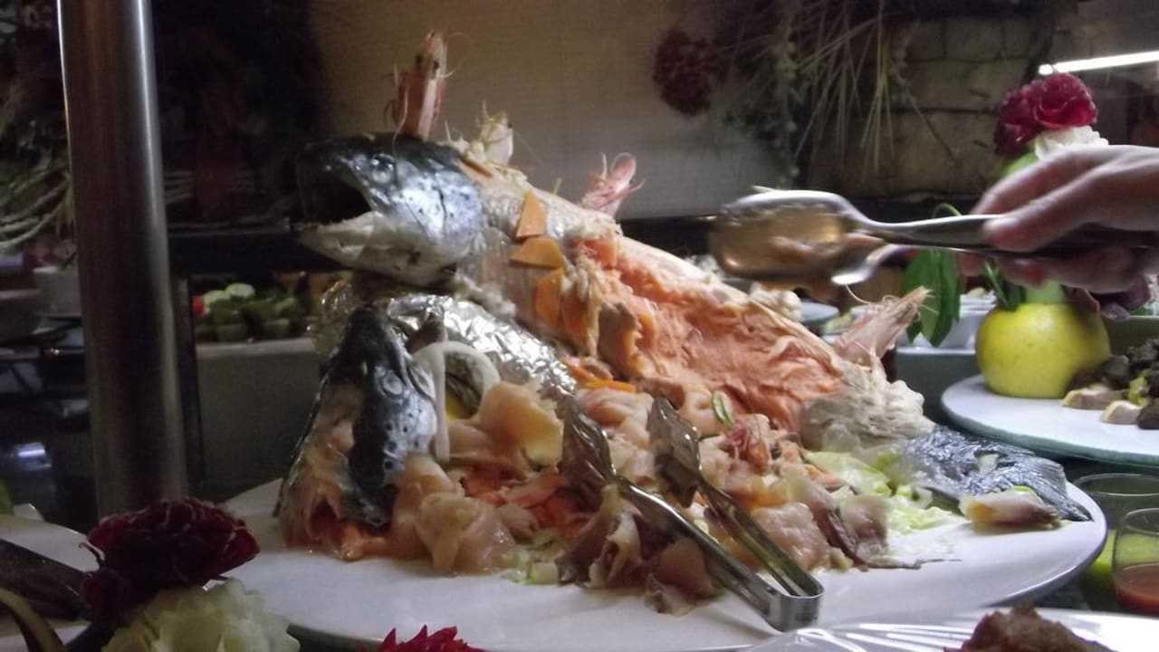 Super Essen Papillon Ayscha