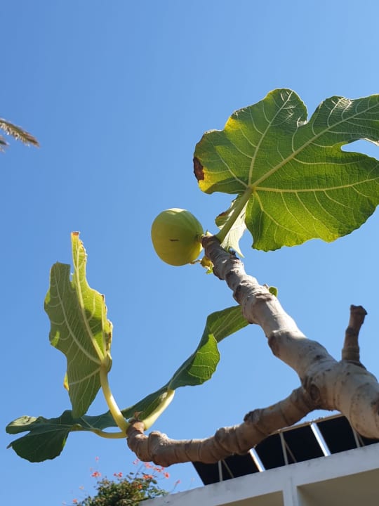 Ausblick Civitel Creta Beach