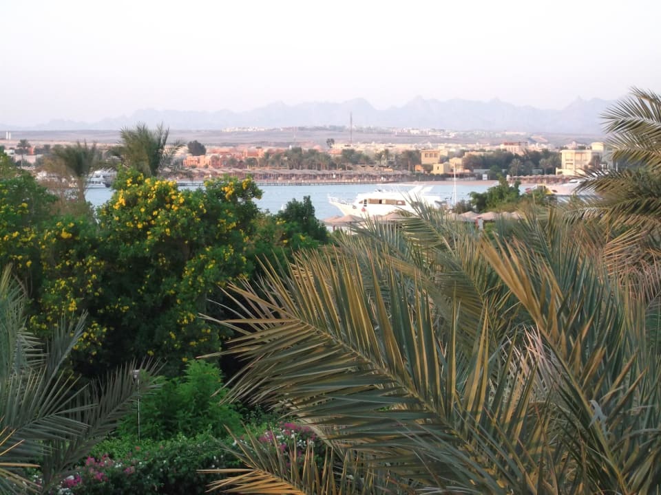 Ausblick von Zimmer 1101 Fort Arabesque Resort, Spa & Villas