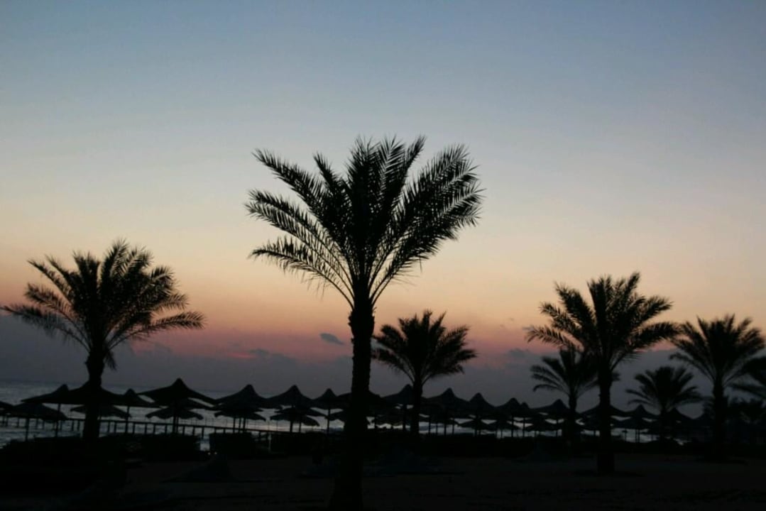 Sonnenaufgang  Three Corners Sea Beach Resort