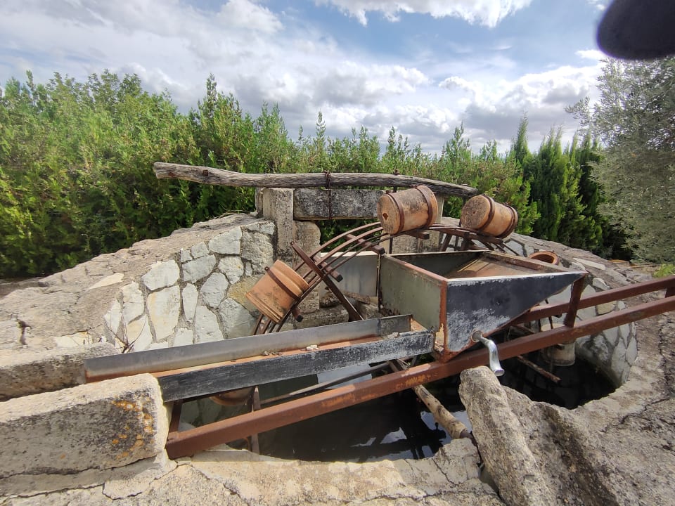 Gartenanlage Finca Hotel & Spa Monnaber Nou