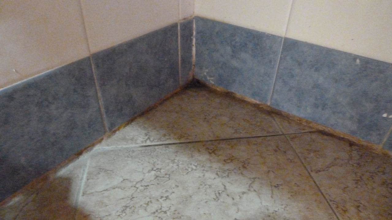 Schimmel im Bad Riviera Spa Resort - Adults Only