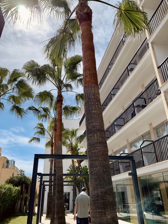 Außenansicht JS Palma Stay