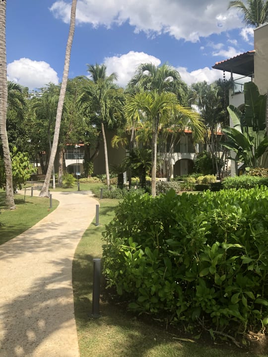 Gartenanlage Catalonia Royal La Romana - Adults only