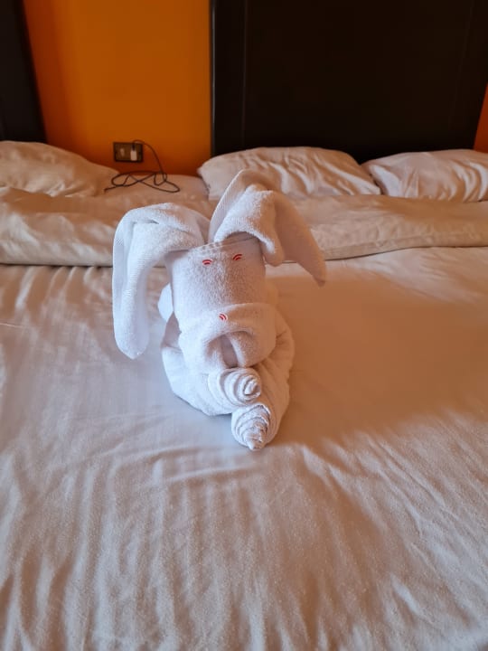Zimmer Arabia Azur Resort