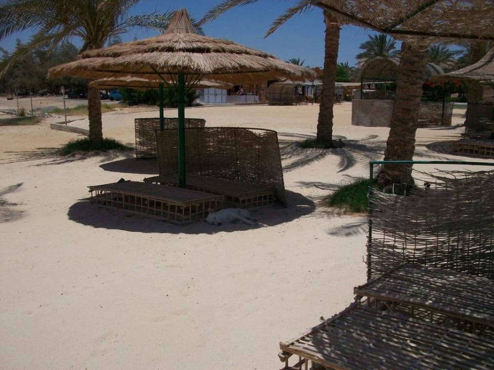 Sonnenschirme mit Windschutz Mövenpick Resort El Quseir